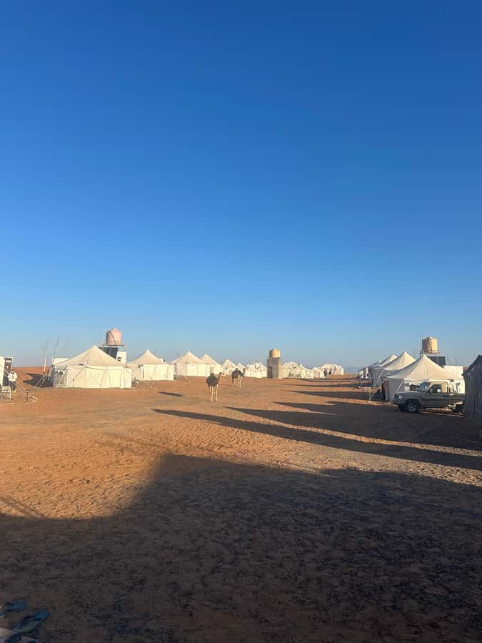 Muscat: Wadi Bani Khalid & Sunset at Wahiba Sands - Who This Tour Fits Best (and Who Should Choose Something Else)