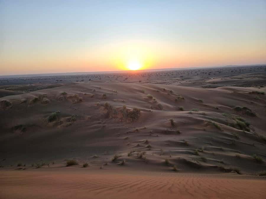 Muscat: Wadi Bani Khalid & Wahiba Sands Full-Day Tour - Wadi Bani Khalid: Pools to Swim, Canyon Rocks to Explore