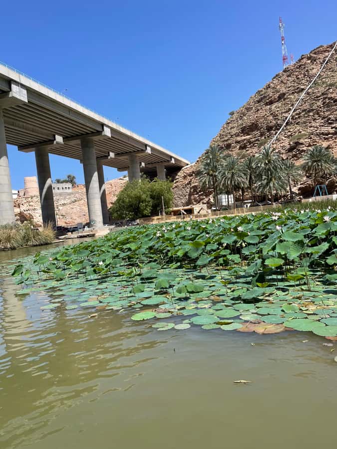 Muscat: Wadi Shab, Romantic Cave and Sinkhole Full-day Trip - Price and Value for Around $40: What You’re Getting for the Money