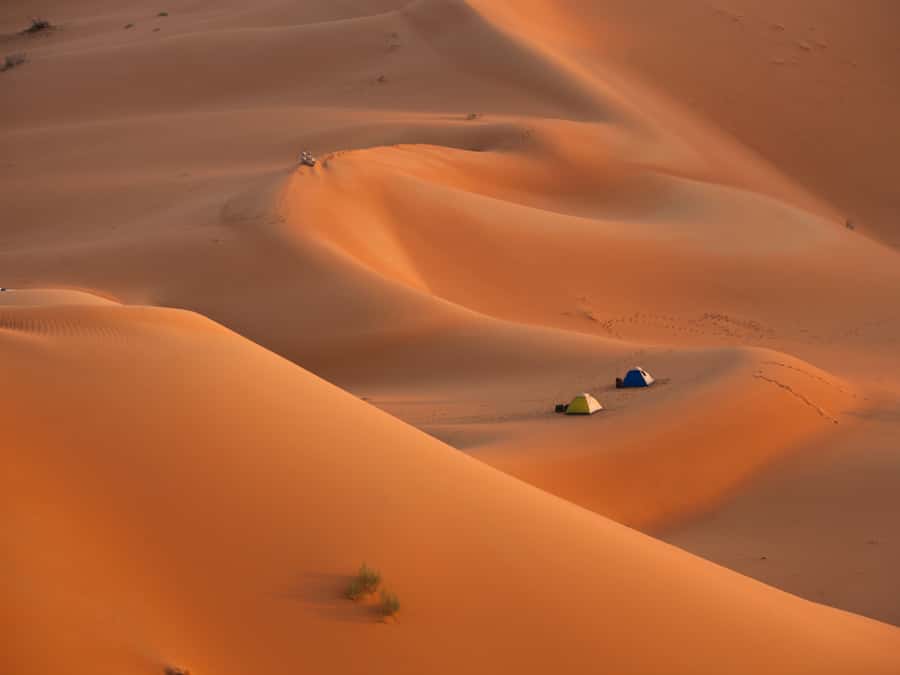 Muscat: Wahiba Sands Desert Sunset Tour with Dinner - Jeep time: the dune bashing session in Wahiba Sands