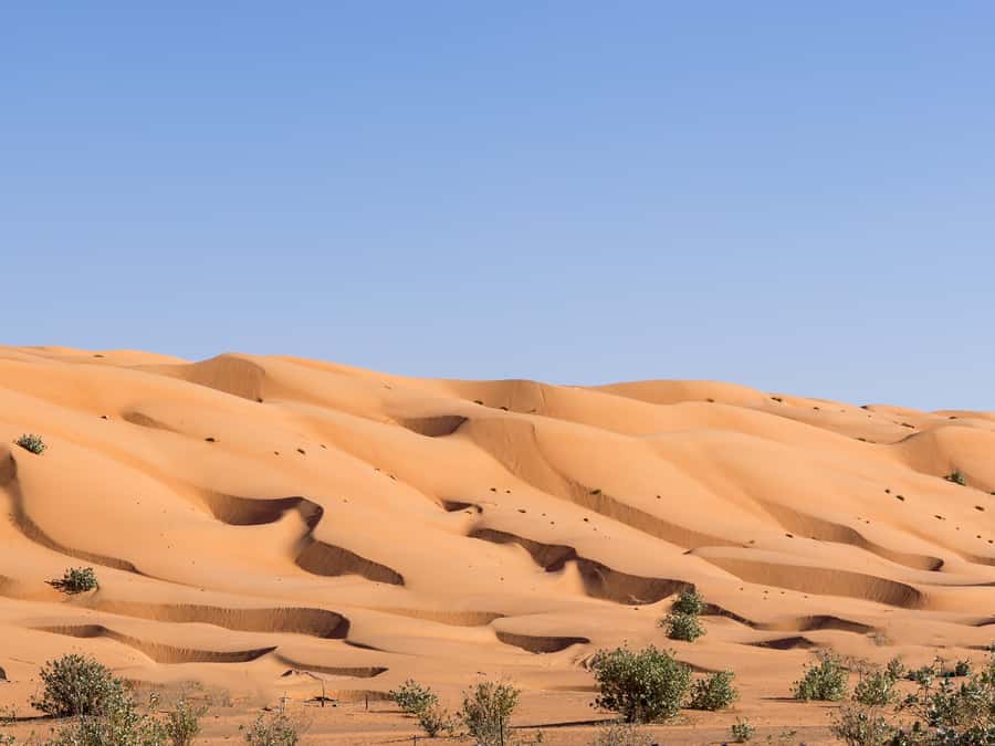 Muscat: Wahiba Sands Desert Sunset Tour with Dinner - What to bring (and what can make the day better)