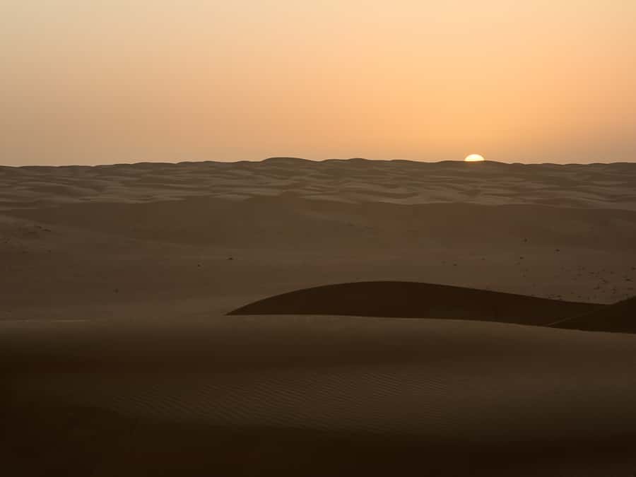 Muscat: Wahiba Sands Desert Sunset Tour with Dinner - Who should book this, and who should skip it