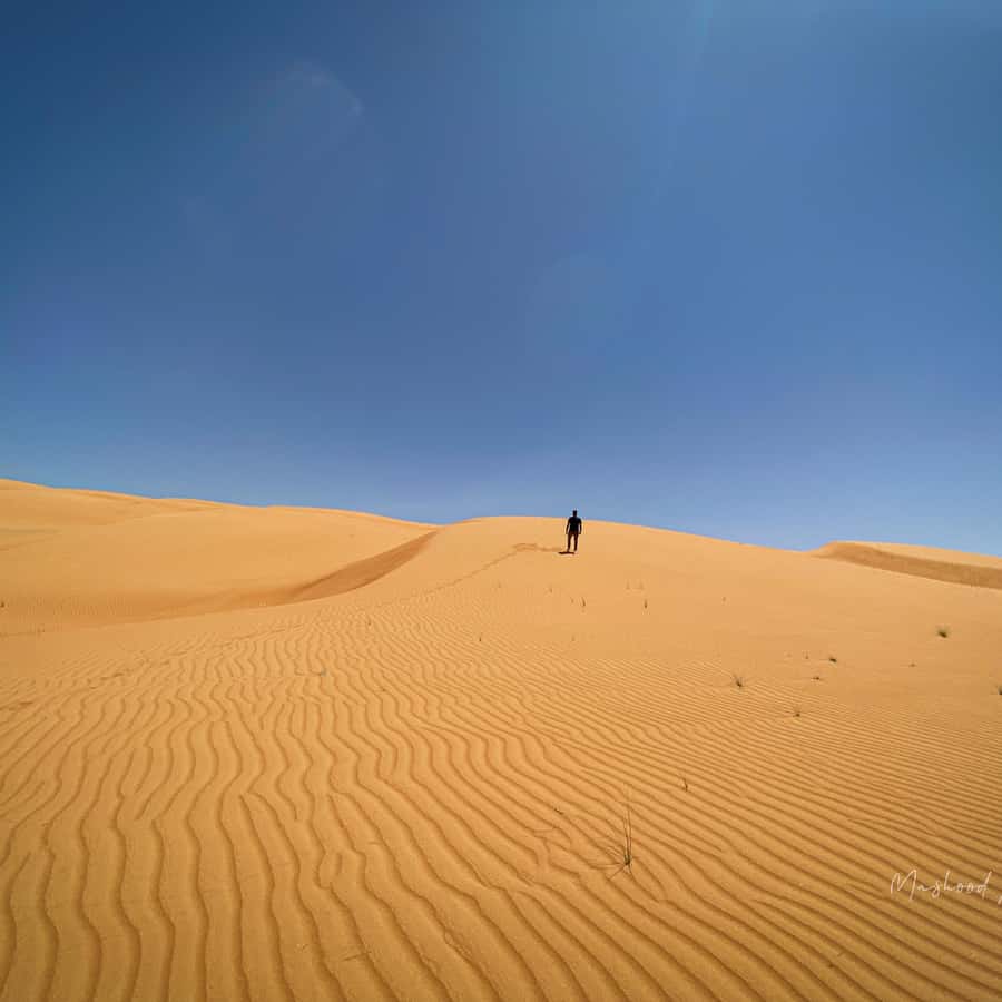 Muscat: Wahiba Sands Desert & Wadi Bani Khalid Full Day Tour - From Muscat Through Sumail Gap to Wahiba Sands