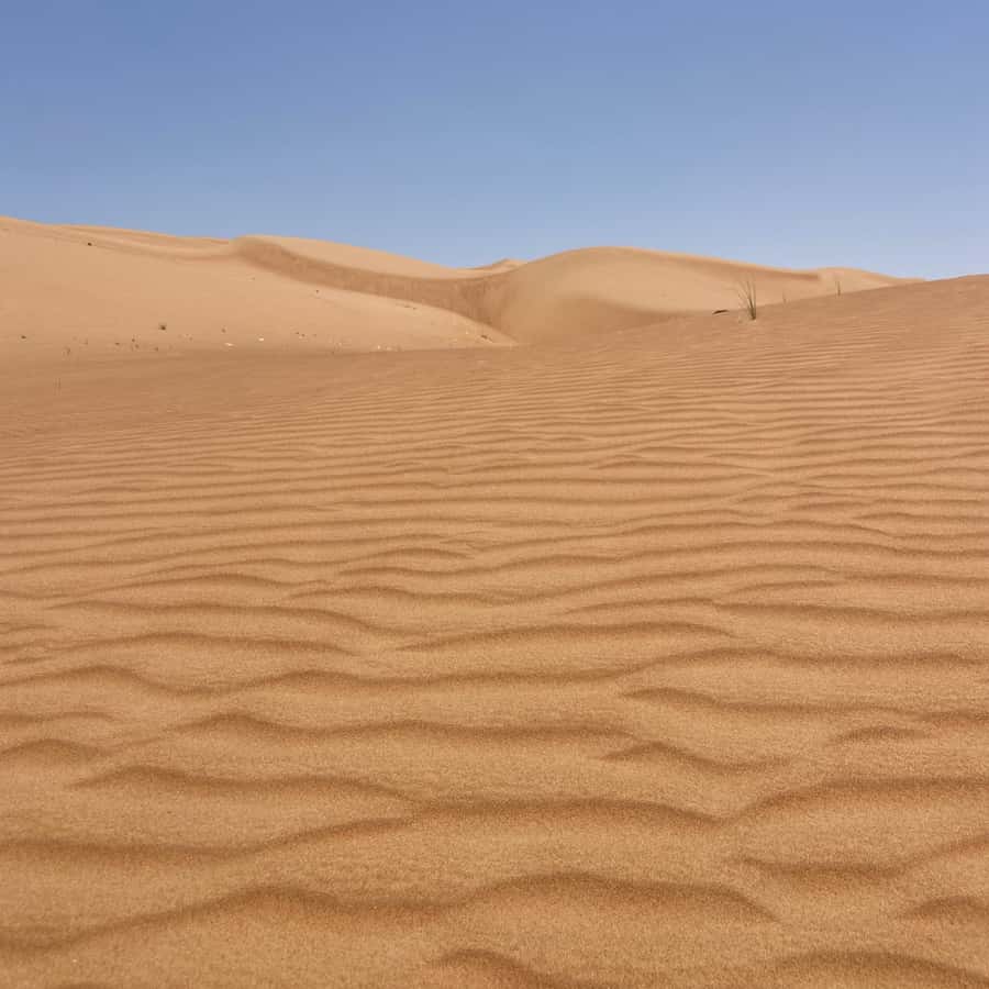 Muscat: Wahiba Sands Desert & Wadi Bani Khalid Full Day Tour - Bidiyah Lunch Stop, a Practical Reset