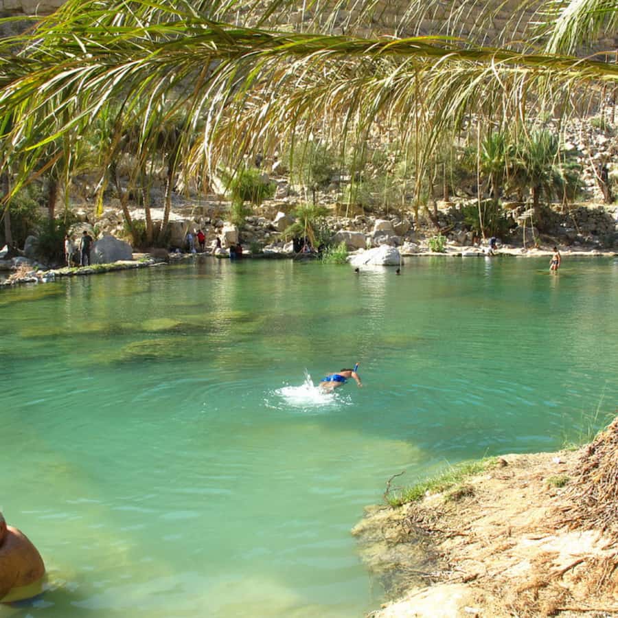Muscat: Wahiba Sands Desert & Wadi Bani Khalid Full Day Tour - Price and Value: What $180 Covers, and What Costs Extra