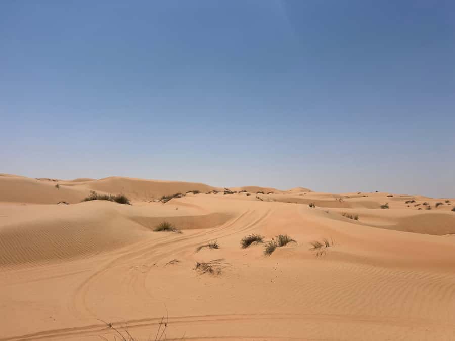 Muscat: Wahiba Sands, Wadi Bani Khalid & Mudayrib Tour - A 10-Hour Oman Day Trip: Wahiba Sands, Wadi Bani Khalid, Mudayrib