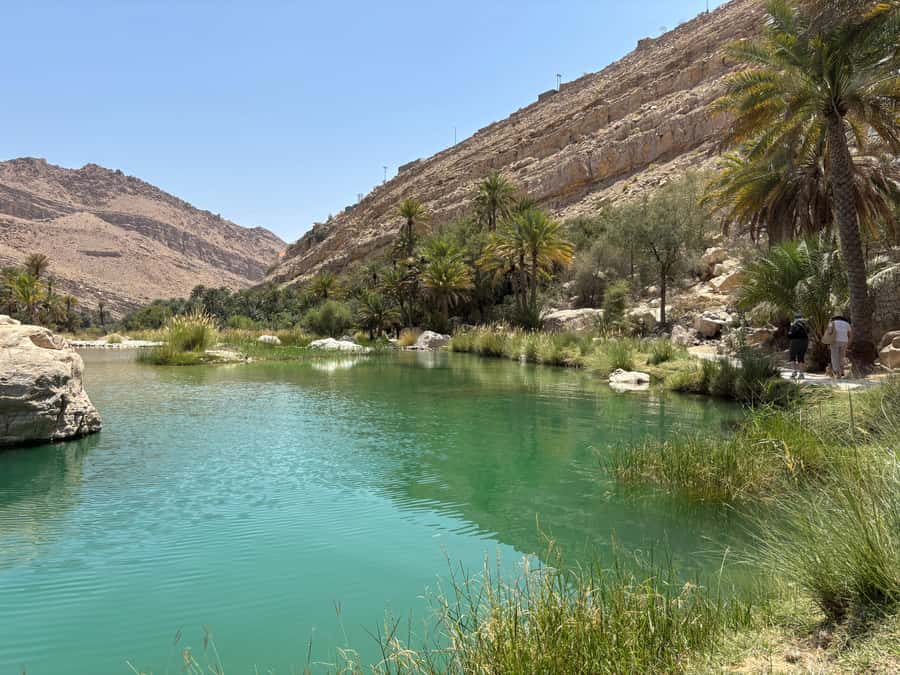 Muscat: Wahiba Sands, Wadi Bani Khalid & Mudayrib Tour - Price and What You Get, Plus Small Costs to Plan For