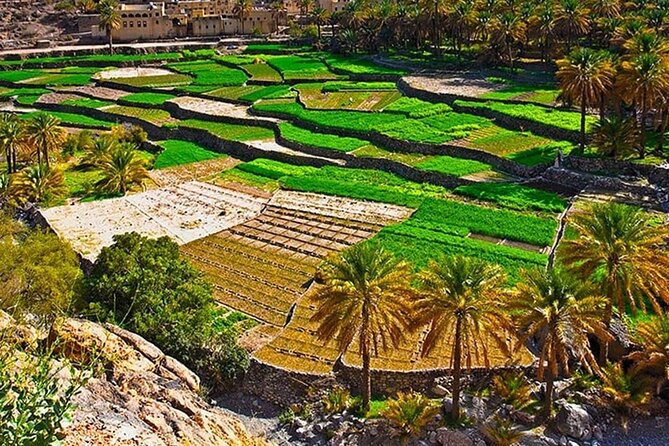 Nakhal Fort-Nakhal Hotspring-Wadi Bani Awf-Bilad Sayt - Private Full Day Tour - Practical Tips: How to Get Comfortable on the Roads