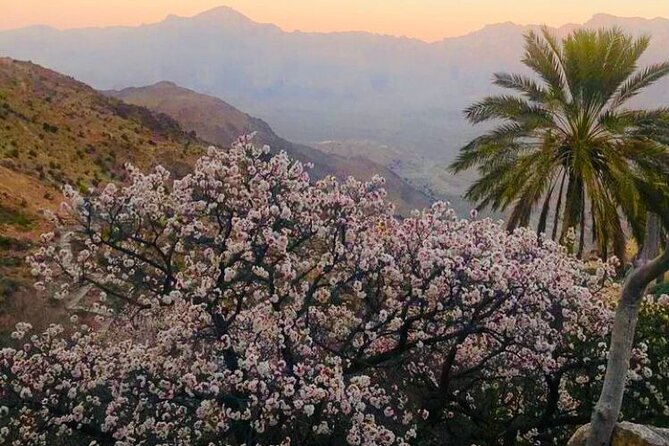 Nakhal Hotspring and Wakan Village Private Full Day Tour - Nakhal hot springs: a green wadi break and the foot spa option