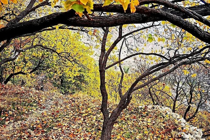 Nakhal Hotspring and Wakan Village Private Full Day Tour - Wakan Village at 2,000 meters: terraced gardens, 700 steps, and views you earn