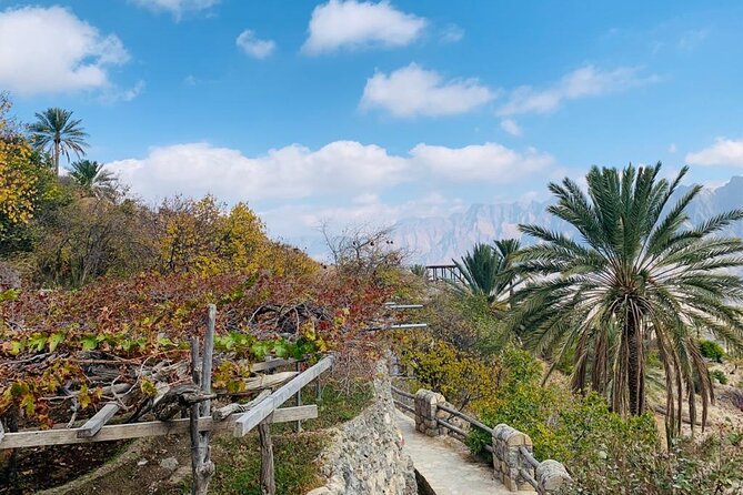 Nakhal Hotspring and Wakan Village Private Full Day Tour - Guides like Yahya and Ahmed make the day feel personal