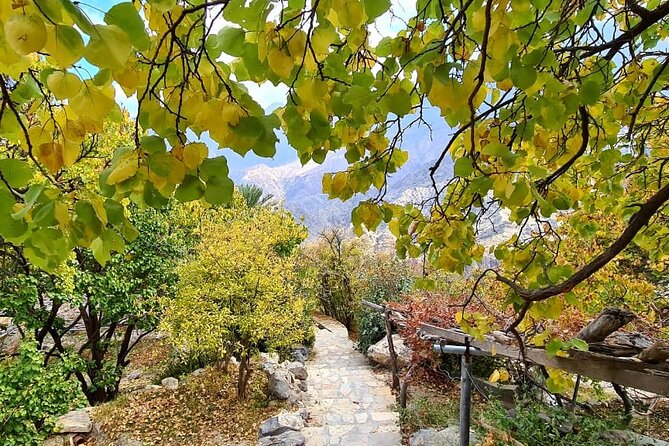 Nakhal Hotspring and Wakan Village Private Full Day Tour - What it costs at $173.60 and where the value really comes from