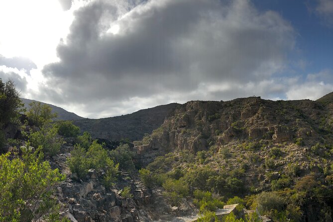 Nizwa and Jebel Akhdar Discovery: Guided Small Group Experience - Nizwa Fort: 17th-century power, restored rooms, and the date-syrup prisoner story