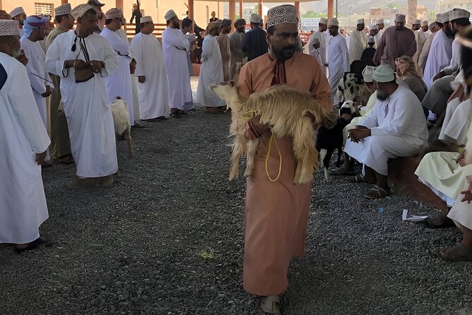 Nizwa and Oman's Historical Gems Tour - Price and value from Muscat at $80 per person