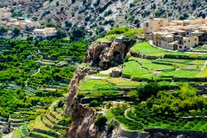 Nizwa Fort-Nizwa Souq-Birkat Al Mouz-Jebel Akhdar - Private Full Day Tour - Birkat Al Mouz Ruins: Abandoned Village Vibes and Area Viewpoints