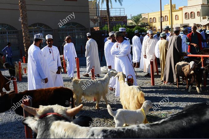 Nizwa Friday Market Jabal Chams - Why this Nizwa Friday Market plus Jabal Chams day works