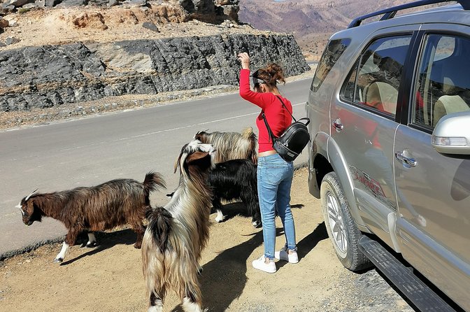 Nizwa. Hambra. Grand Canyon Oman - Grand Canyon Oman viewpoints, and how to make the most of the scenery