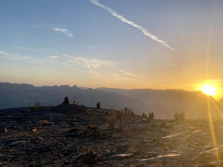 Nizwa: Jebel Shams Balcony Walk and Via Ferrata Adventure - Key highlights you should care about