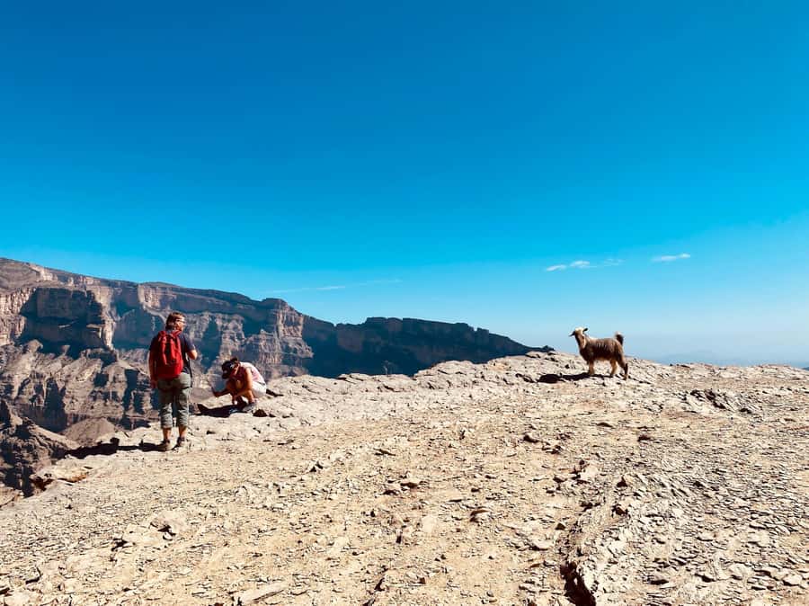 Nizwa: Jebel Shams Balcony Walk and Via Ferrata Adventure - Guides and safety: why the right leader changes everything