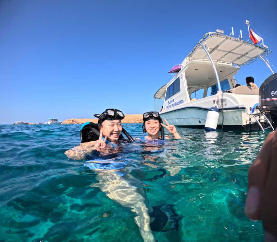 Oman: Daymaniyat Island Snorkeling Trip with Equipment - The Underwater Plan: coral, colorful fish, and sea turtles