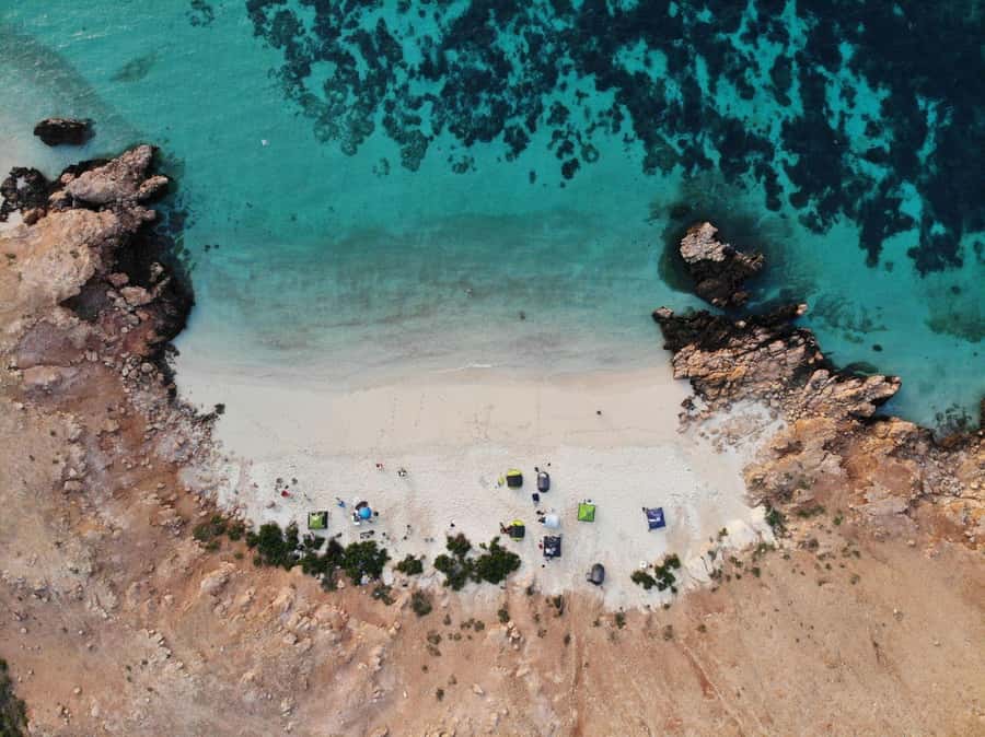 Oman: Daymaniyat Island Snorkeling Trip with Equipment - Kayaking time plus marine mammal chances around the islands