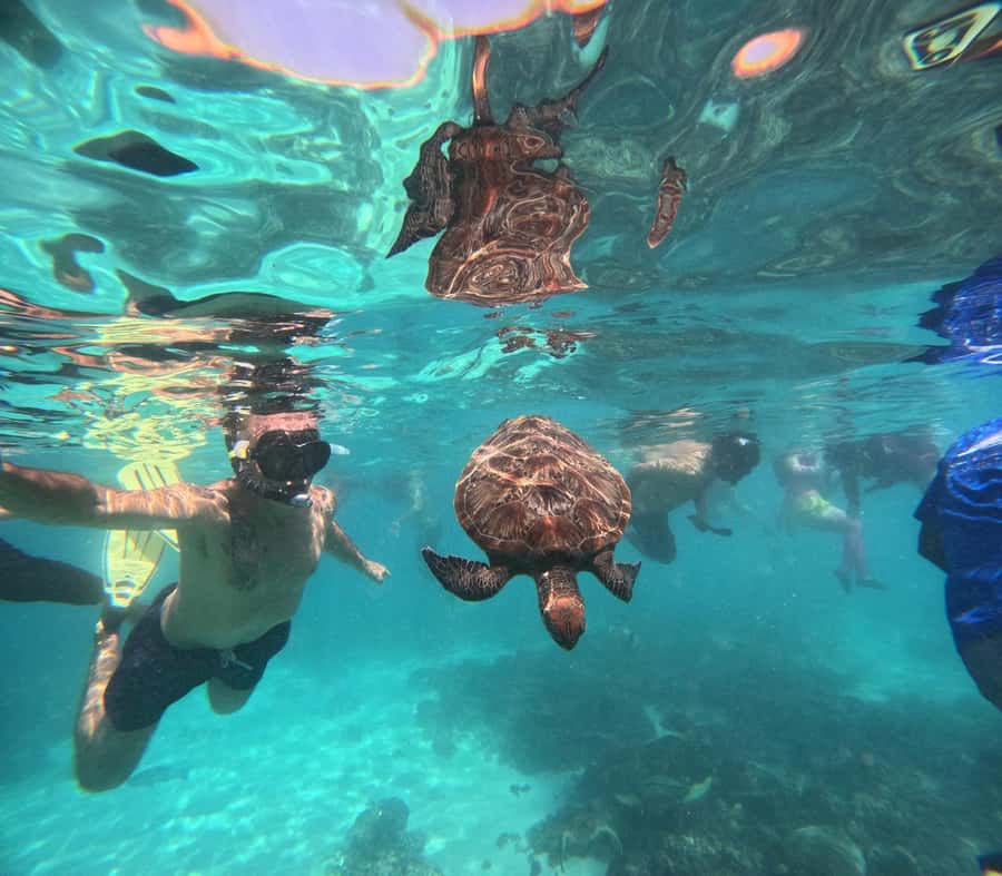 Oman: Daymaniyat Island Snorkeling Trip with Equipment - Getting There From Al Mouj Marina, and what the 40 to 45 minutes adds