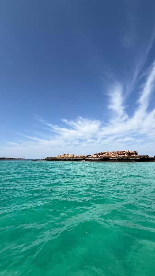 Oman: Daymaniyat Islands Visit and Snorkeling - Key Highlights You Should Know