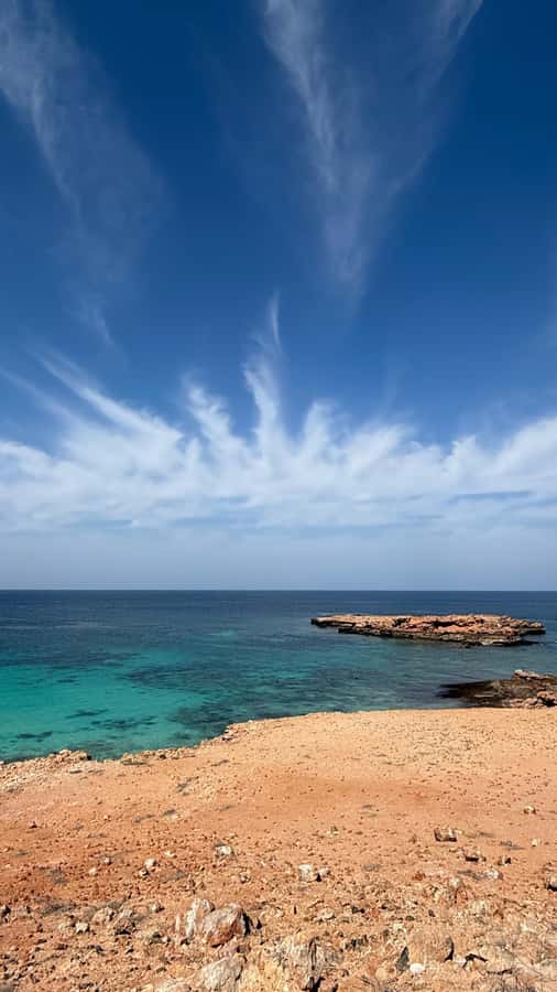 Oman: Daymaniyat Islands Visit and Snorkeling - First Snorkeling Session: Your 1 Hour for Coral, Turtles, and Fish