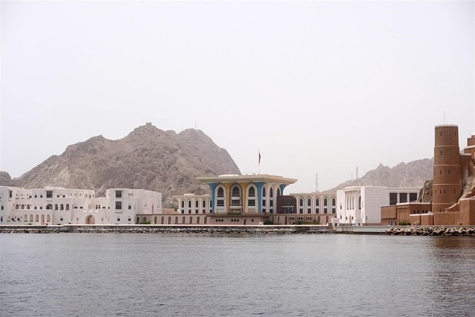 Oman Dolphin Watching Tours - What You Can Spot: Dolphins, Whale Sharks, and the Chance of Whales