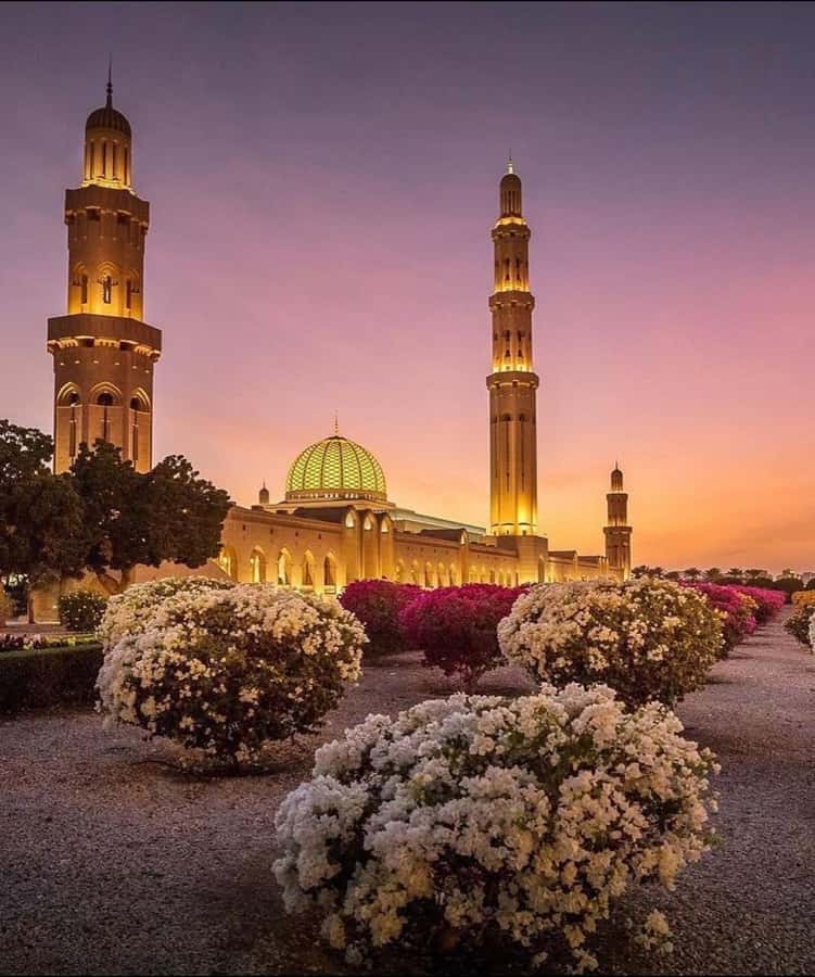 Oman:Group Muscat City Tour With Pick Up & Free Lunch/Dinner - Key things I’d circle before you go