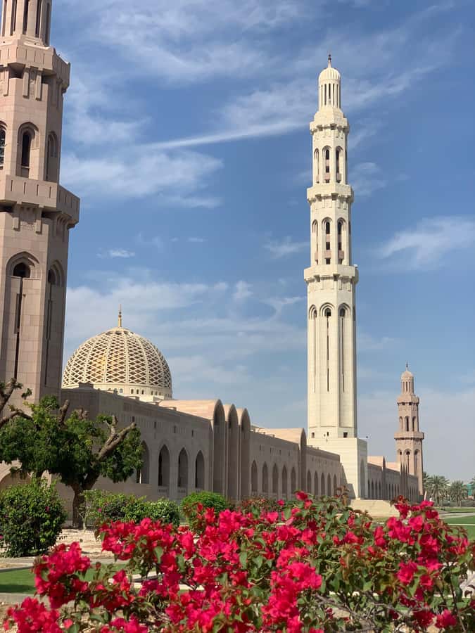 Oman: Private City Tour of Muscat with pick up/drop off - Al Alam Palace and the National Museum: ceremonial Oman plus context
