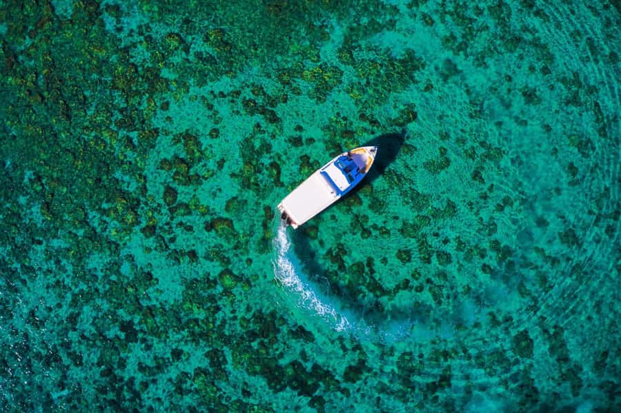 Oman: Snorkeling Trip at Daymaniyat Islands - GoPro photography and video delivery: what it adds to your memories