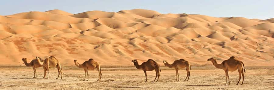 Oman: Wahiba and Wadi Bani Khaled Private Trip - The route highlights: Sumail Gap, Al Mansfah ruins, and the Ibra area