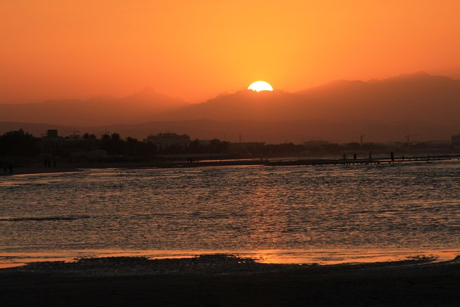 Omani dhow:Coastal and Sunset Cruise - What You’ll Actually See From the Water