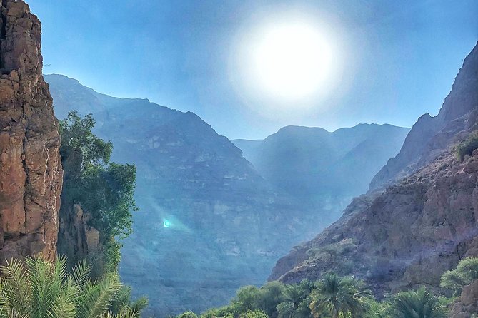 Overnight Desert Tour with Wadi Bani Khalid - Camp Under the Stars: The Part That Makes It Worth Overnighting