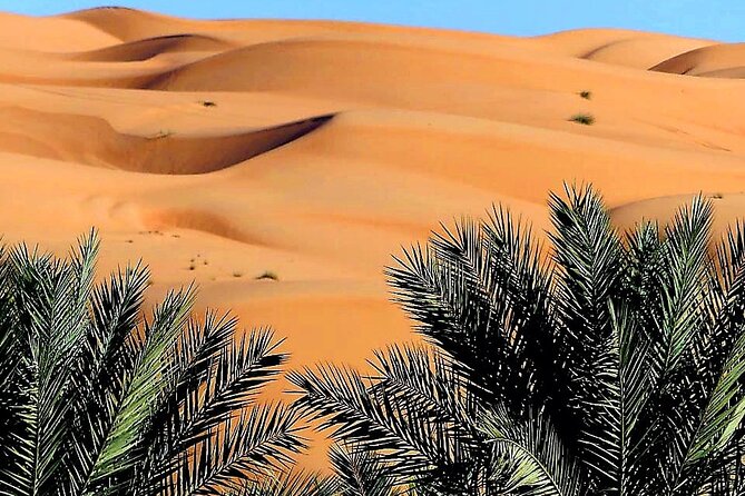 Private 2 Days 1 Night Wahiba Sands Desert and Wadi Bani Khalid Tour - A Desert Overnight That Starts With Water, Not Sand