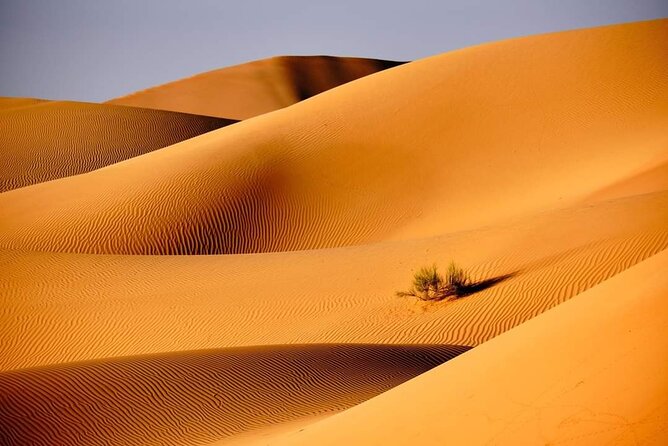 Private 2 Days 1 Night Wahiba Sands Desert and Wadi Bani Khalid Tour - Arabian Oryx Camp Night: Dinner, Bonfire Energy, and Star-Spotting