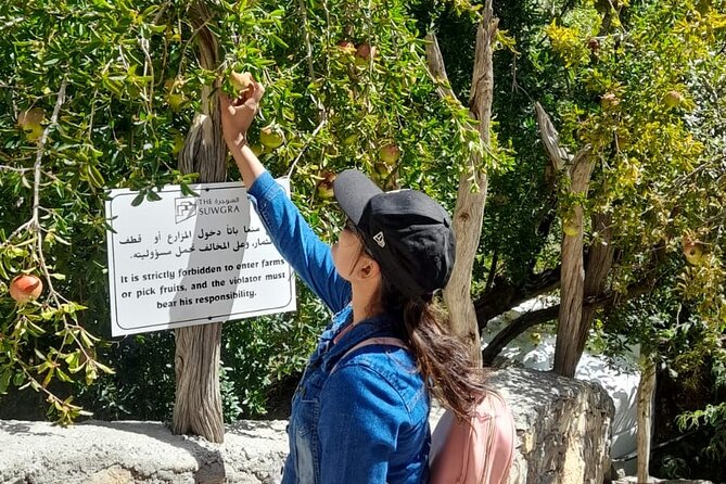 Private 2 - Days Jebel Akhdar Overnight Camping Tours - From Muscat to Nizwa Fort: getting your bearings fast