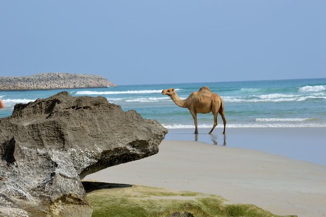 Private Caribian Orient (Swiming in Fazayeh Beach ) - Sahalnoot Spring and Ayn Sahalnoot: A Limestone Pause from the Road