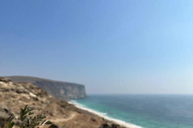 Private Caribian Orient (Swiming in Fazayeh Beach ) - Frankincense Trail: Trees You Can See Growing Naturally