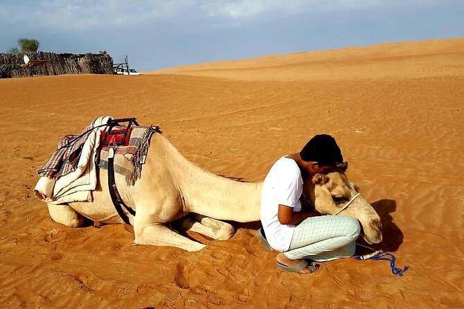 Private Desert Tour with Activities - Full Day - Camel riding: included in spirit, priced as an add-on