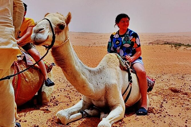 Private Desert Tour with Activities - Full Day - Sand boarding: like snowboarding, but with different friction