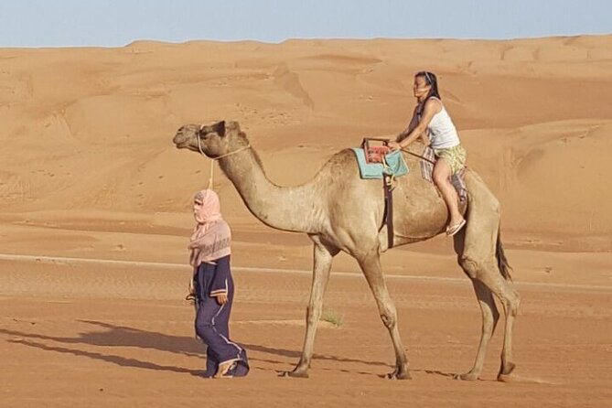 Private Desert Tour with Activities - Full Day - The Wadi Fanja photo stop, and a wadi moment to break up the drive