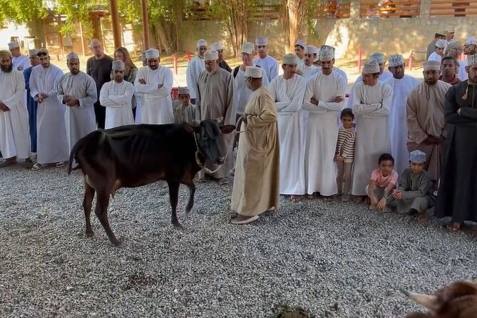 Private Friday Cattle Market-Nizwa and Jebel Akhdar-Full-Day Tour - Entering Nizwa’s Friday Cattle Market at 5:30 AM