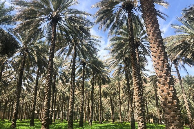 Private Friday Cattle Market-Nizwa and Jebel Akhdar-Full-Day Tour - Jebel Akhdar: walking time among fruit plantations and rose gardens