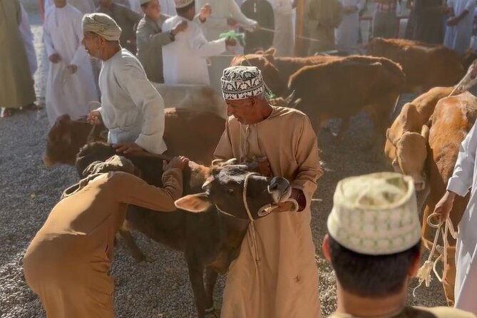 Private Friday Cattle Market-Nizwa and Jebel Akhdar-Full-Day Tour - Diana’s Viewpoint: the rim shot over farmed terraces