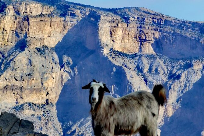 Private Full Day Guided Balcony Walk Hiking to Jebel Shams - What’s included, and why it matters on a long hike day