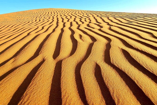 Private Full Day Private Desert Safari Tour - What’s included, what you handle yourself