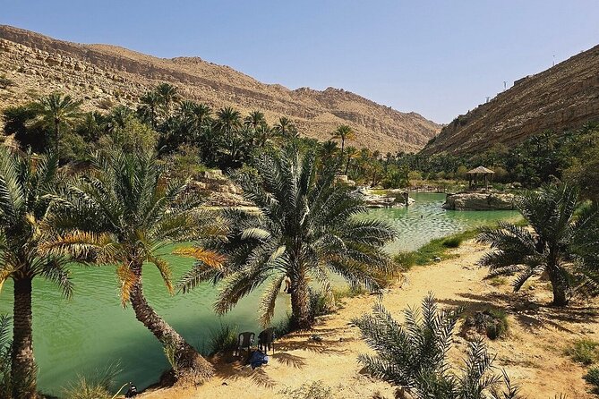Private Full Day Private Desert Safari Tour - Timing and pacing: how to enjoy all parts without feeling rushed