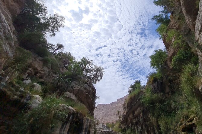 Private Full-Day Wadi Tiwi and Bimmah Sinkhole Tour from Muscat - What’s included in the price, and what you should budget for